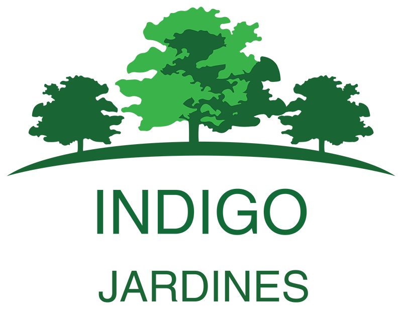 logotipo cabecera