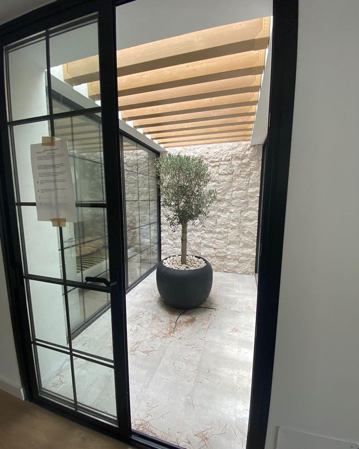 Hay una planta en maceta en el medio de la habitación.