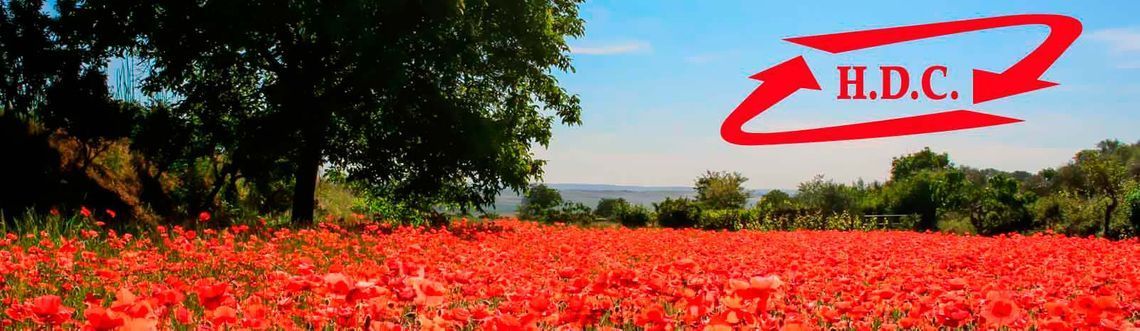 Un campo de flores rojas con un logotipo de HDC en el fondo.