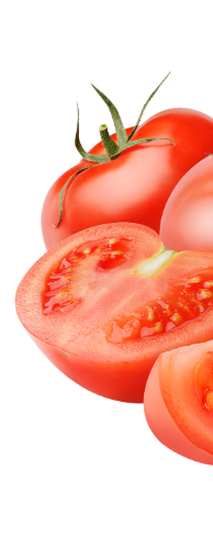 Un manojo de tomates cortados por la mitad sobre un fondo blanco.