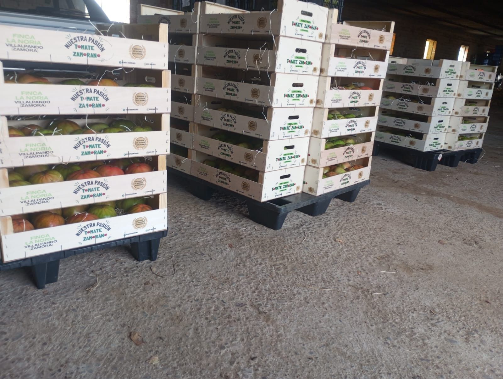 Un almacén lleno de cajas de frutas y verduras.