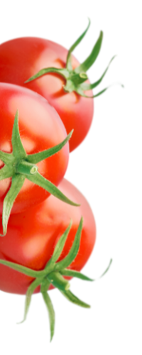 Tres tomates se apilan uno encima del otro sobre un fondo blanco.