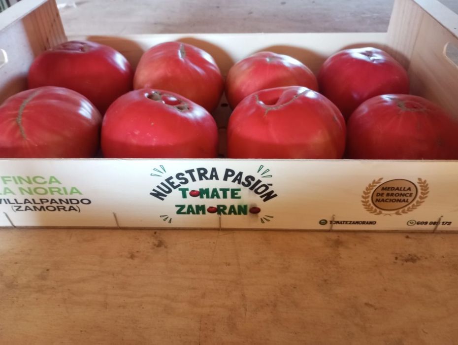 Una caja de tomates Nuestra Pasión reposa sobre una mesa.