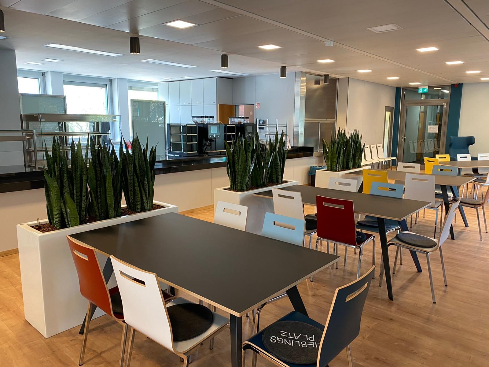 Kantinenbereich mit Tischen und Stühlen. Pflanzkübel mit Pflanzen, bunte Stühle, Buffetbereich und helle Beleuchtung.