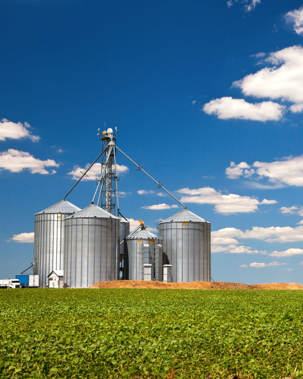 Silos à grains dans un champ, avec des cultures vertes sous un ciel bleu avec des nuages.