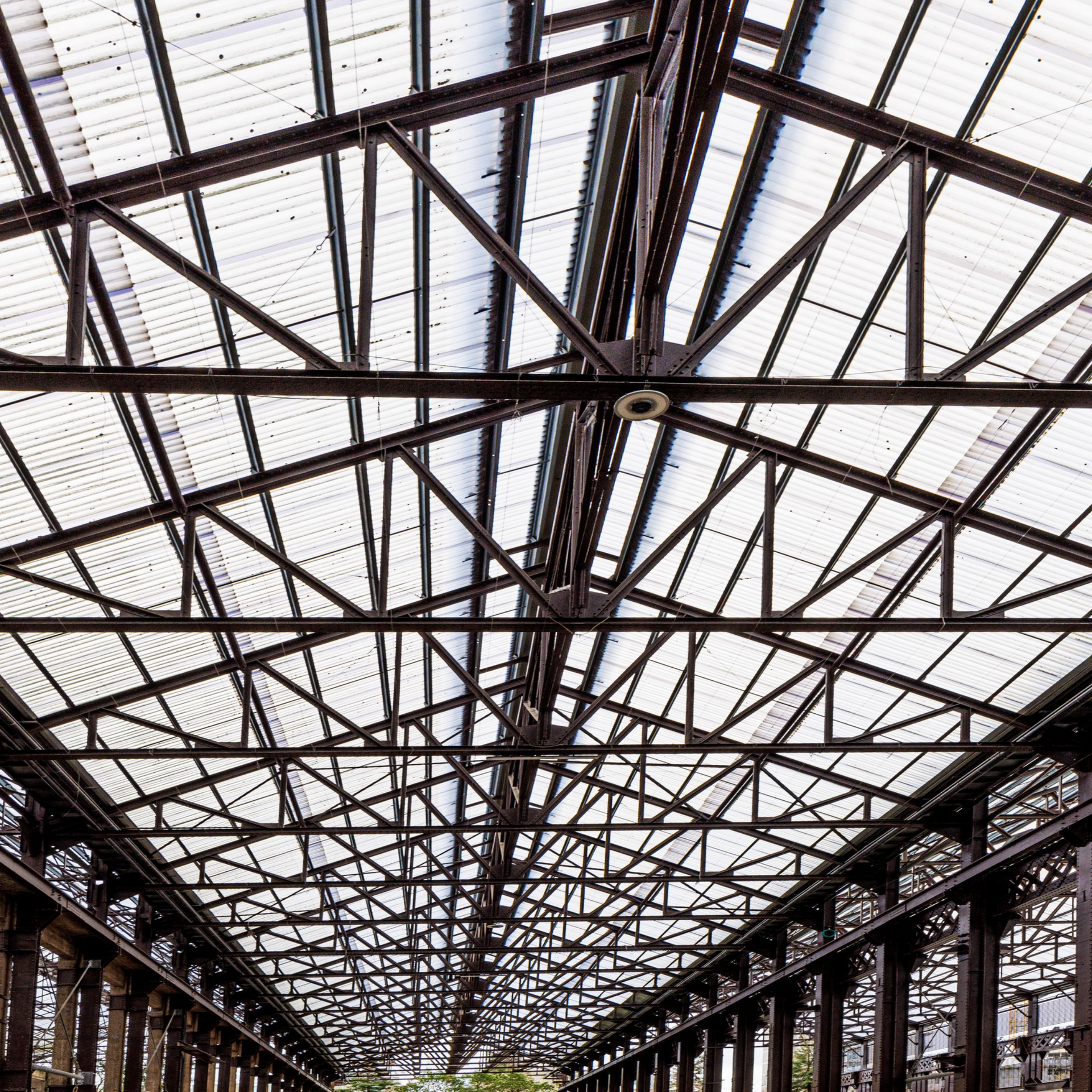 Charpente métallique supportant une toiture translucide d'un long bâtiment industriel.