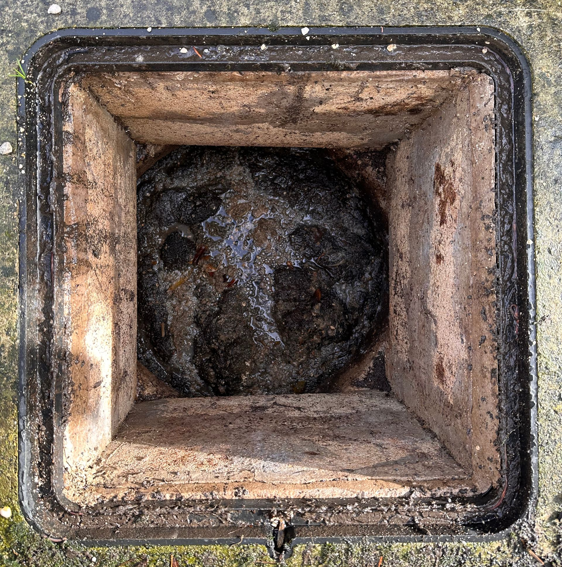 Une fosse septique avant la vidange