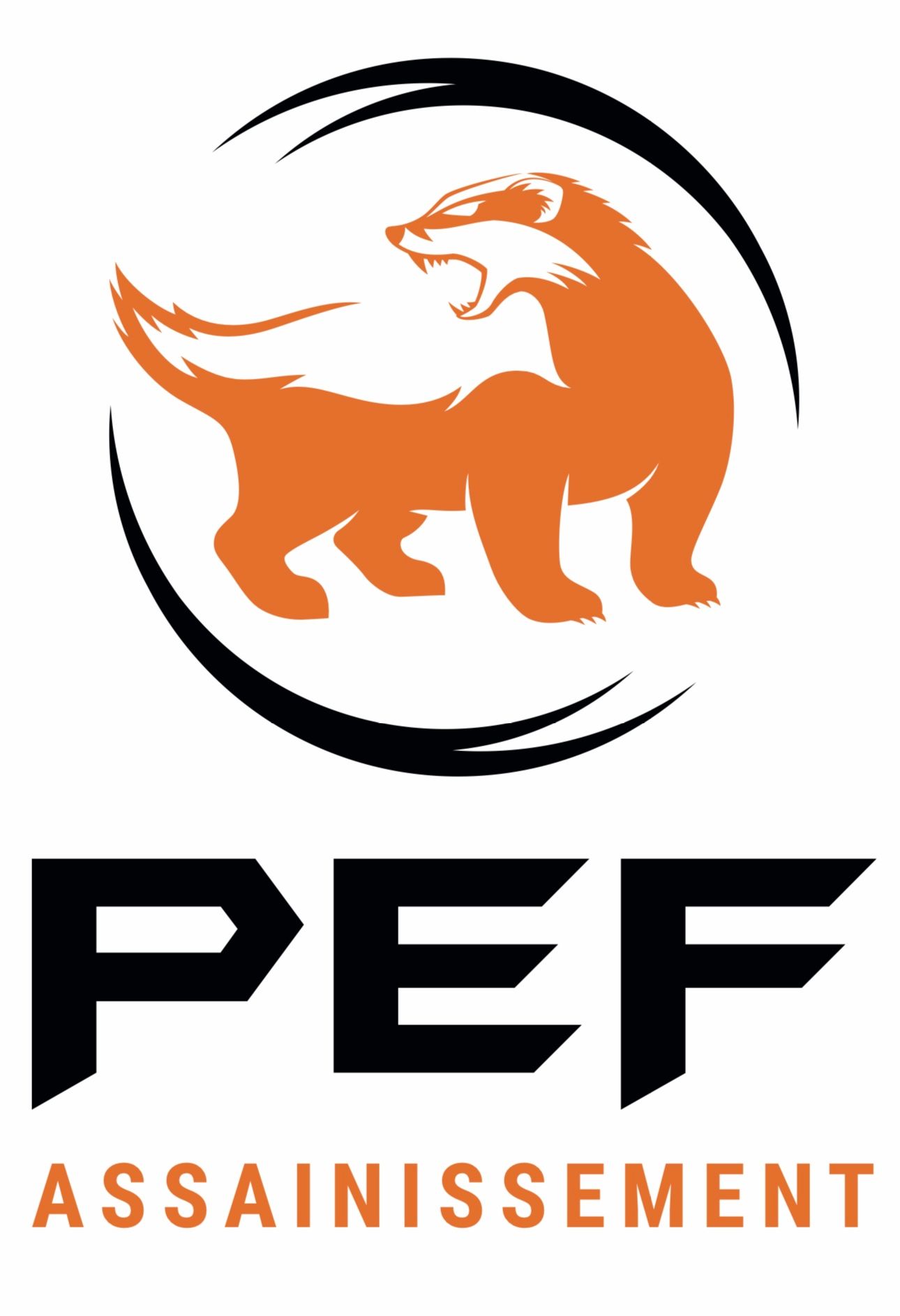 Logo de l'entreprise PEF Assainissement