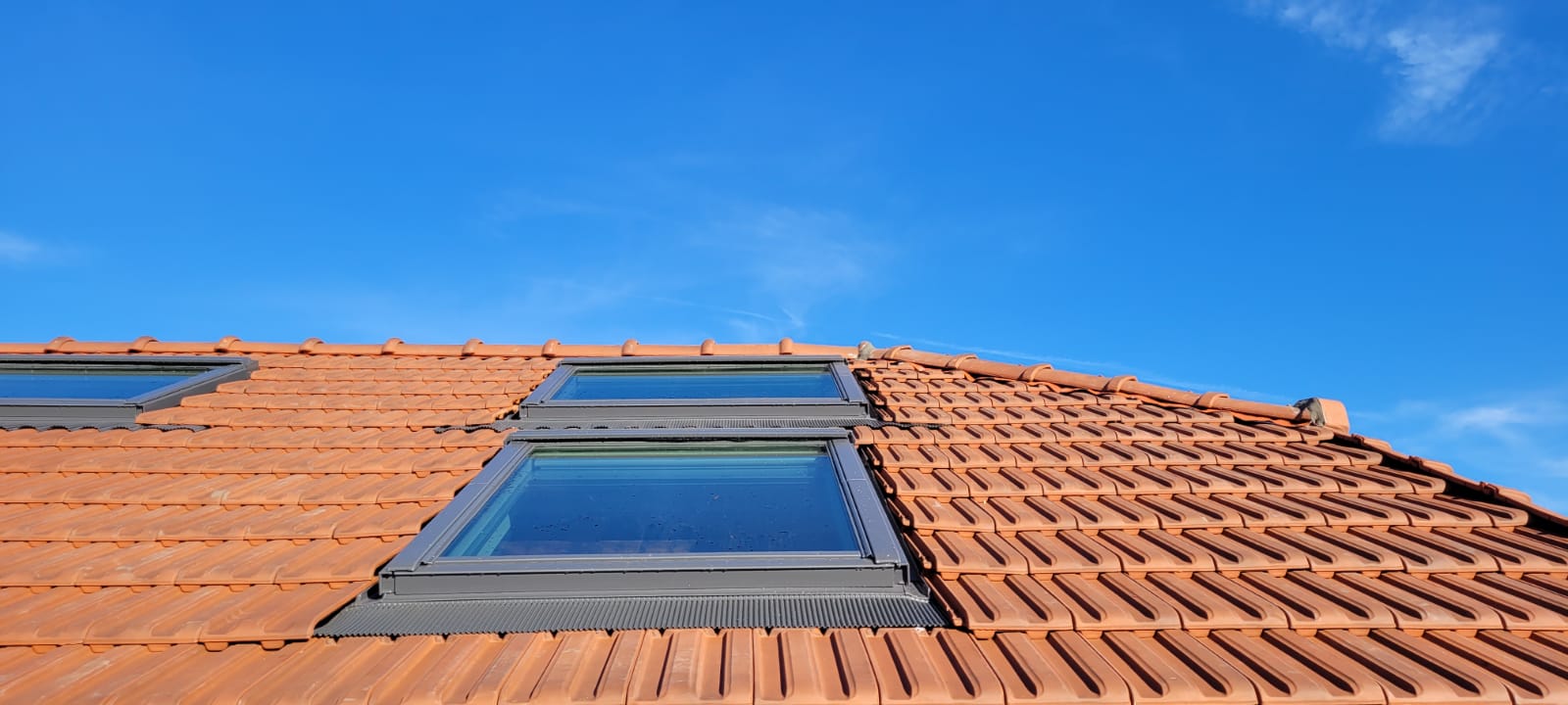 Toiture entretenue avec fenêtres de toit