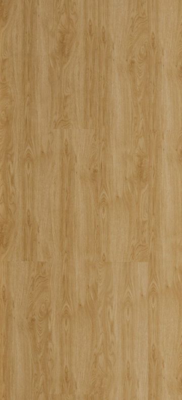 Un primer plano de un trozo de madera que muestra la textura de la madera.