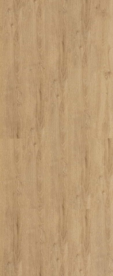 Un primer plano de un trozo de madera que muestra la textura de la madera.