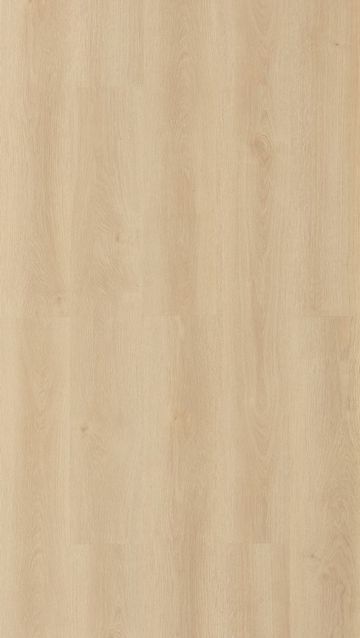 Un primer plano de un trozo de madera que muestra la textura de la madera.