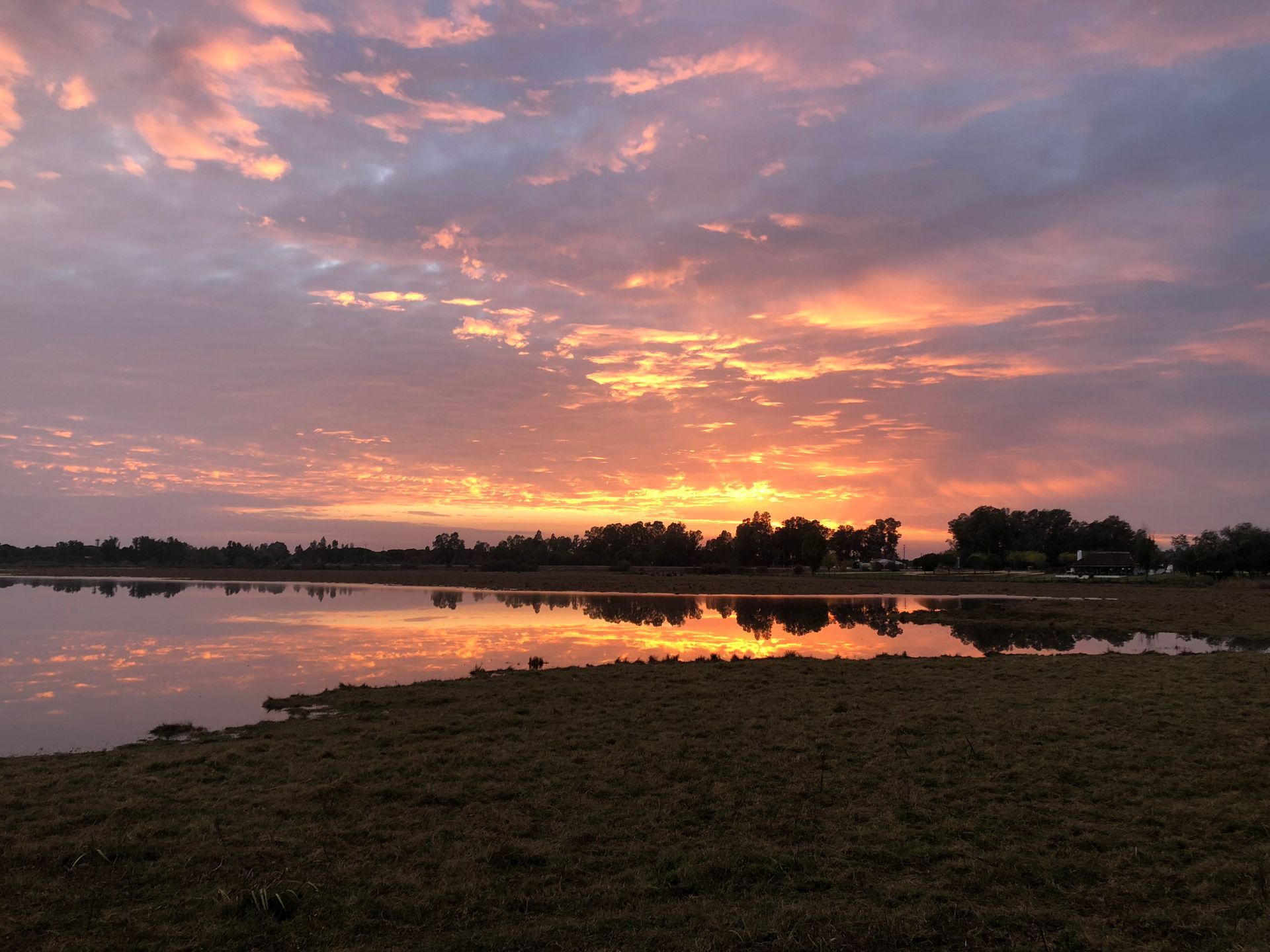 Puesta de sol sobre un lago, reflejando tonos naranjas y rosados; árboles bordean el horizonte.