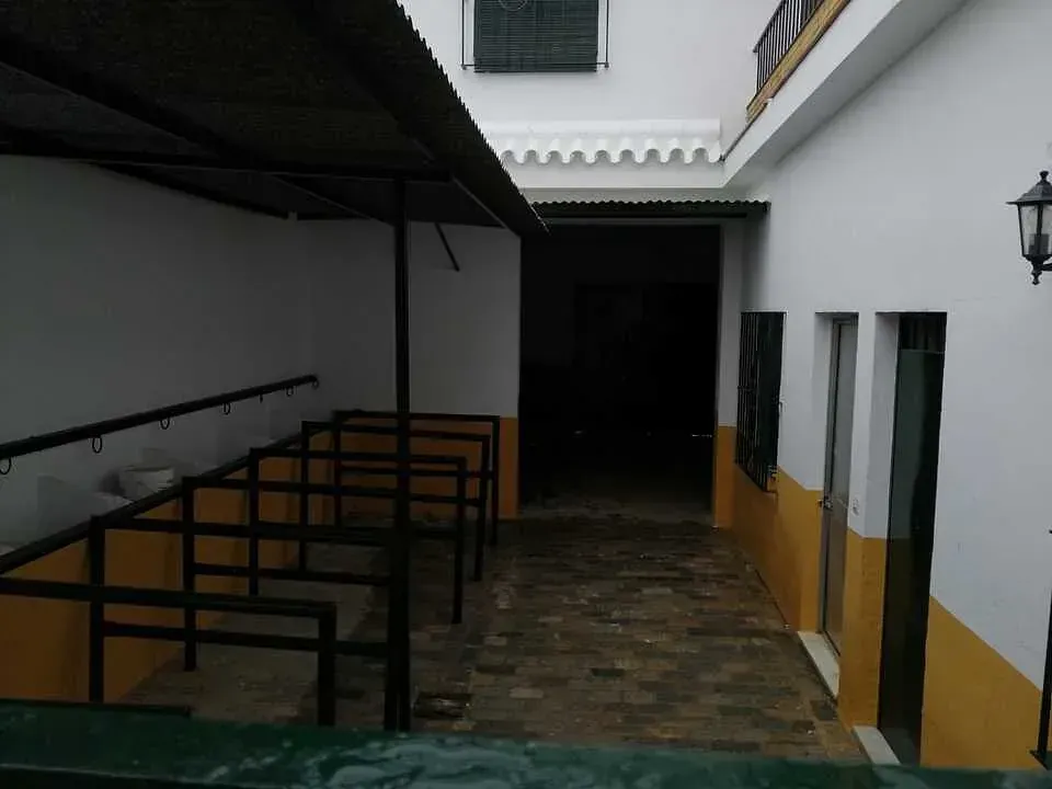 Pasarela cubierta con puestos y entrada oscura. Paredes blancas y amarillas con barandillas negras.