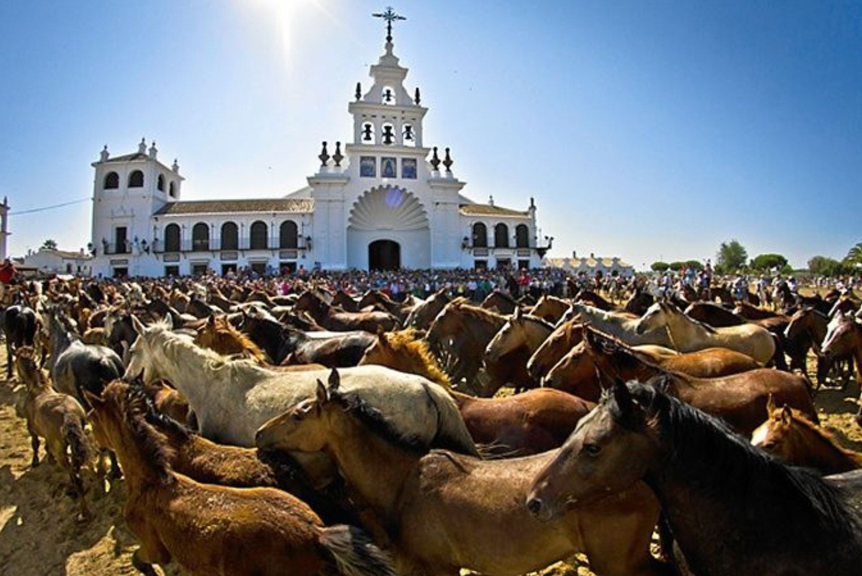 Caballos en una plaza llena de gente, con una iglesia blanca al fondo, bajo un cielo azul brillante.