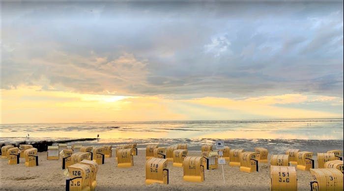 Eine Reihe gelber Strandstühle an einem Strand bei Sonnenuntergang.