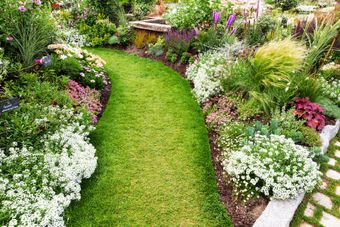 Jardin avec massifs de fleurs