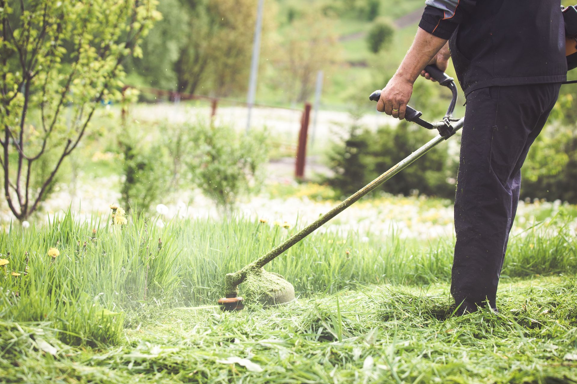 Paysagiste qui débroussaille un jardin