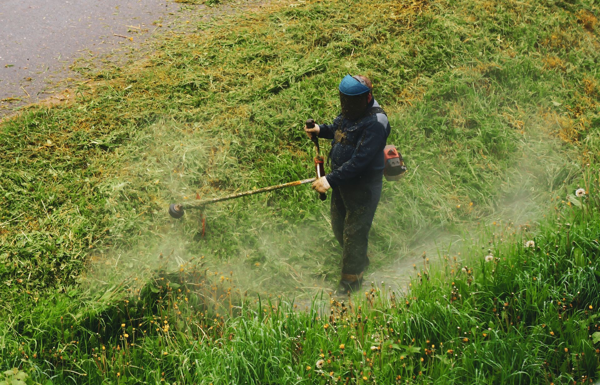 Défrichage de terrain
