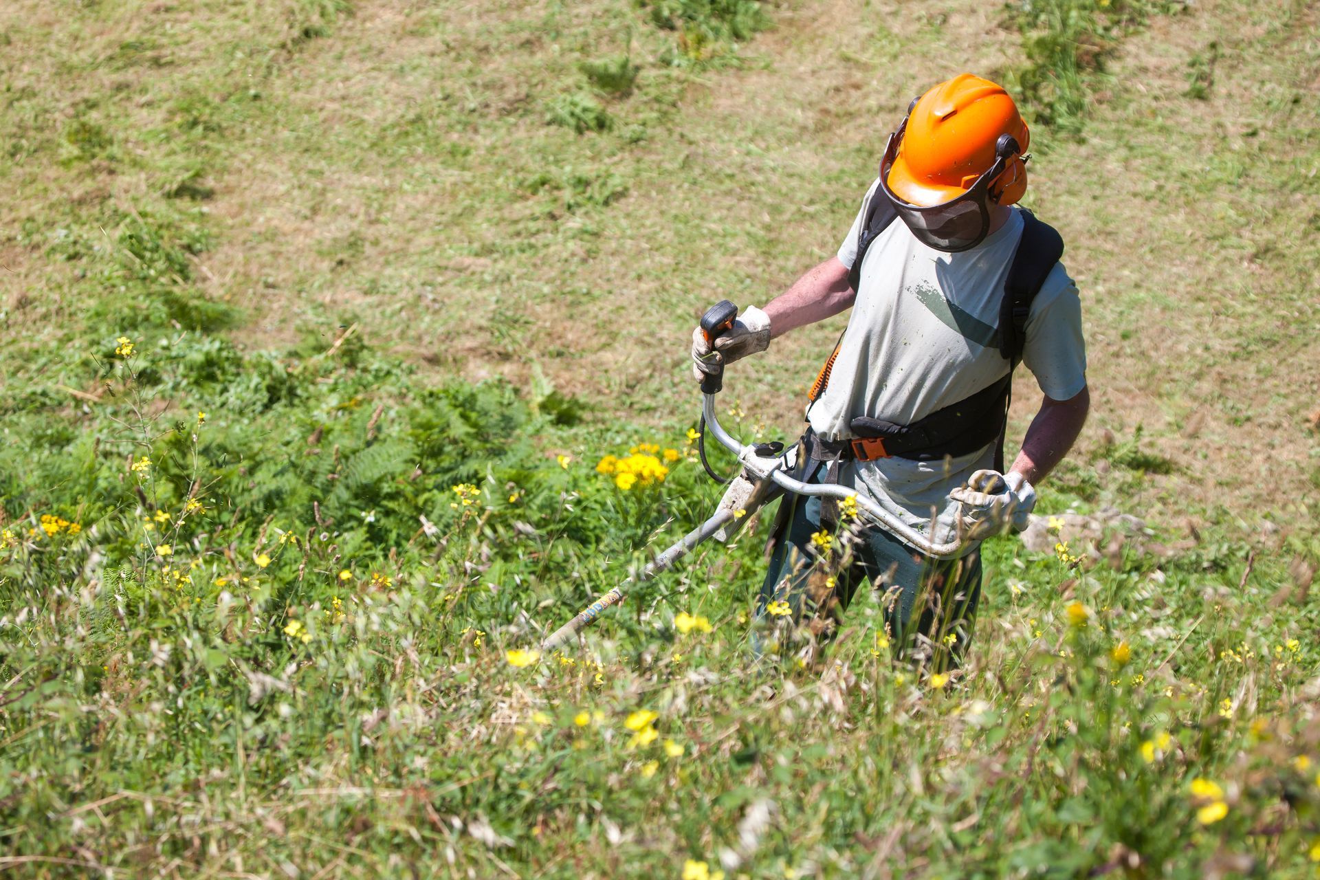 Débroussaillage de terrain en friche