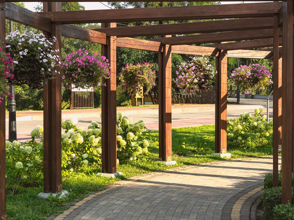 Una pérgola de madera con flores colgando de ella en un parque.