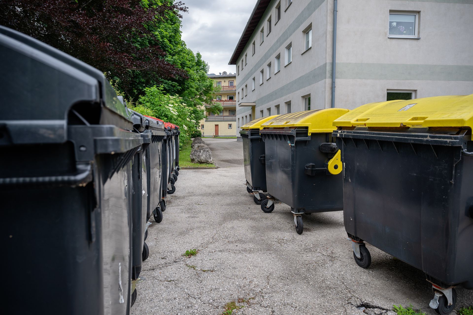Containers à poubelles devant un immeuble