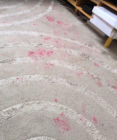 Tapis ou moquette de salon avec taches rouges avant détachage