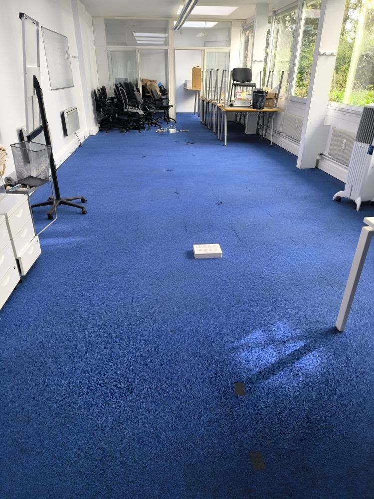 Moquette de bureau bleue dans un local professionnel