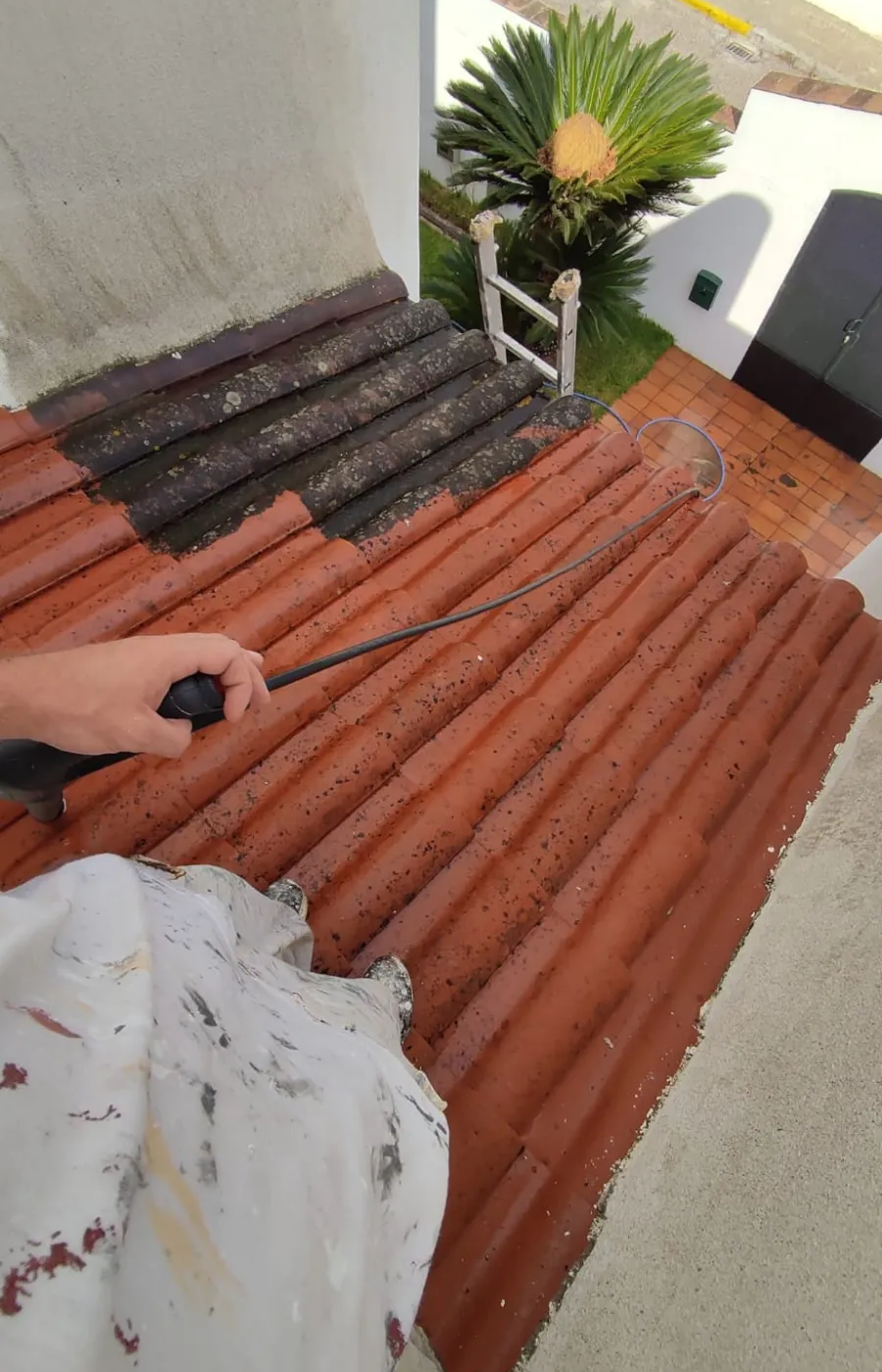 Un tejado con tejas de arcilla roja, una mano y una planta en maceta en una terraza con vistas a un patio.