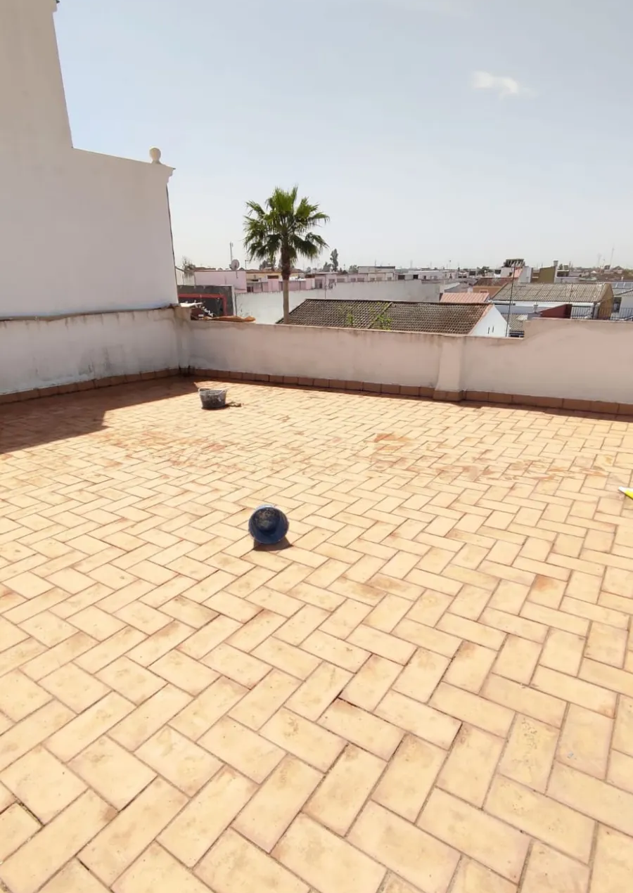 Terraza soleada en la azotea con suelo de baldosas color canela, muros bajos y una palmera a lo lejos.
