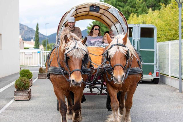 Une calêche avce 2 chevaux