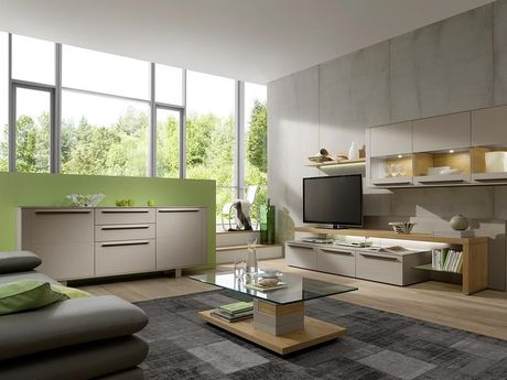 Salon moderne entièrement meublé de couleur vert et gris