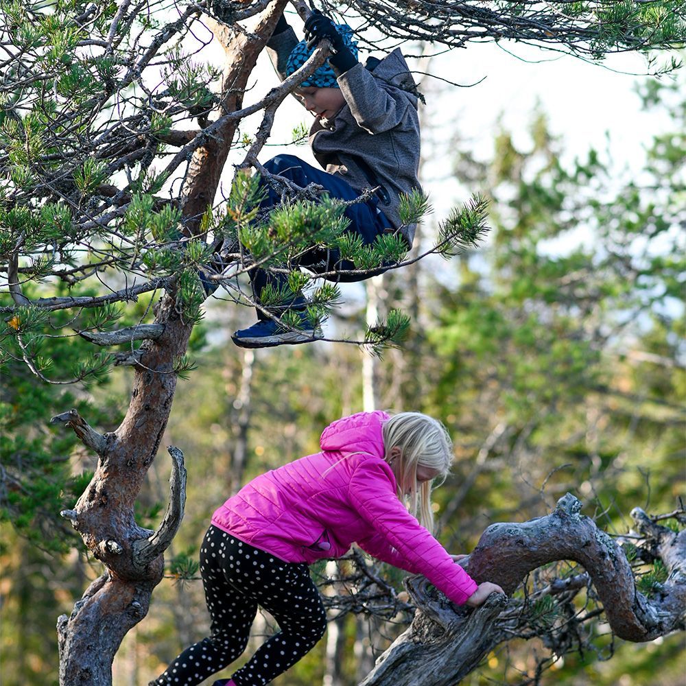 Kaksi lasta kiipeilemässä puussa