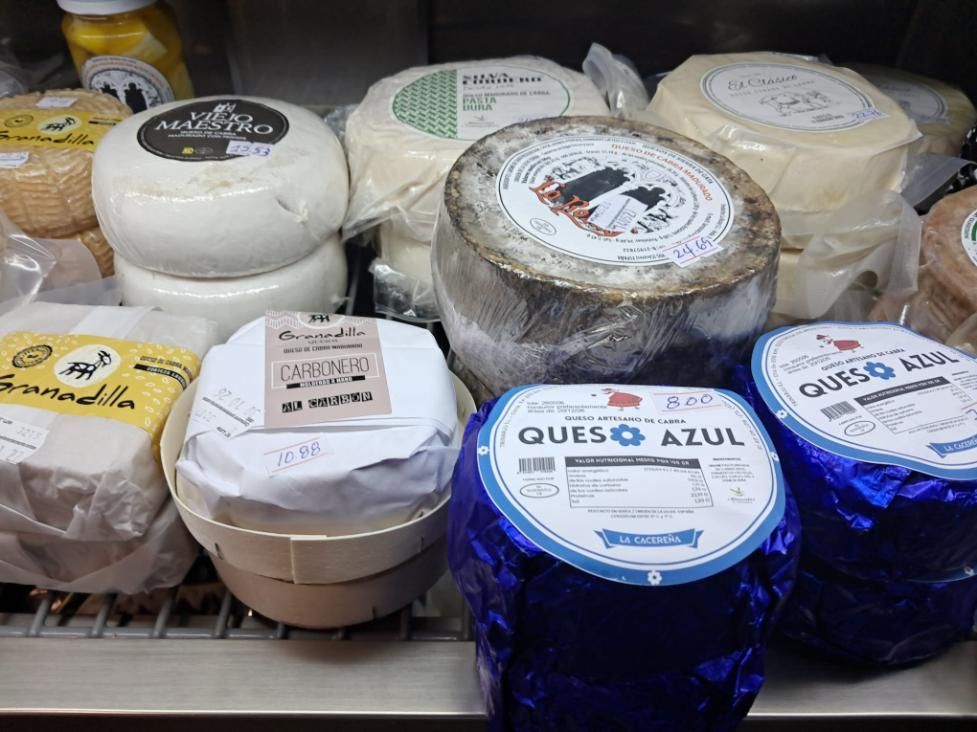 Surtido de quesos redondos envueltos en plástico transparente en un expositor de mercado.