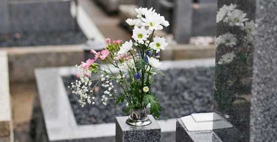 Des fleurs dans un vase sur une pierre tombale de cimetière, avec des tombes floues en arrière-plan.