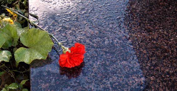 Fleur rouge flottant sur une eau sombre et ondulante, à côté de feuilles vertes sur la gauche.