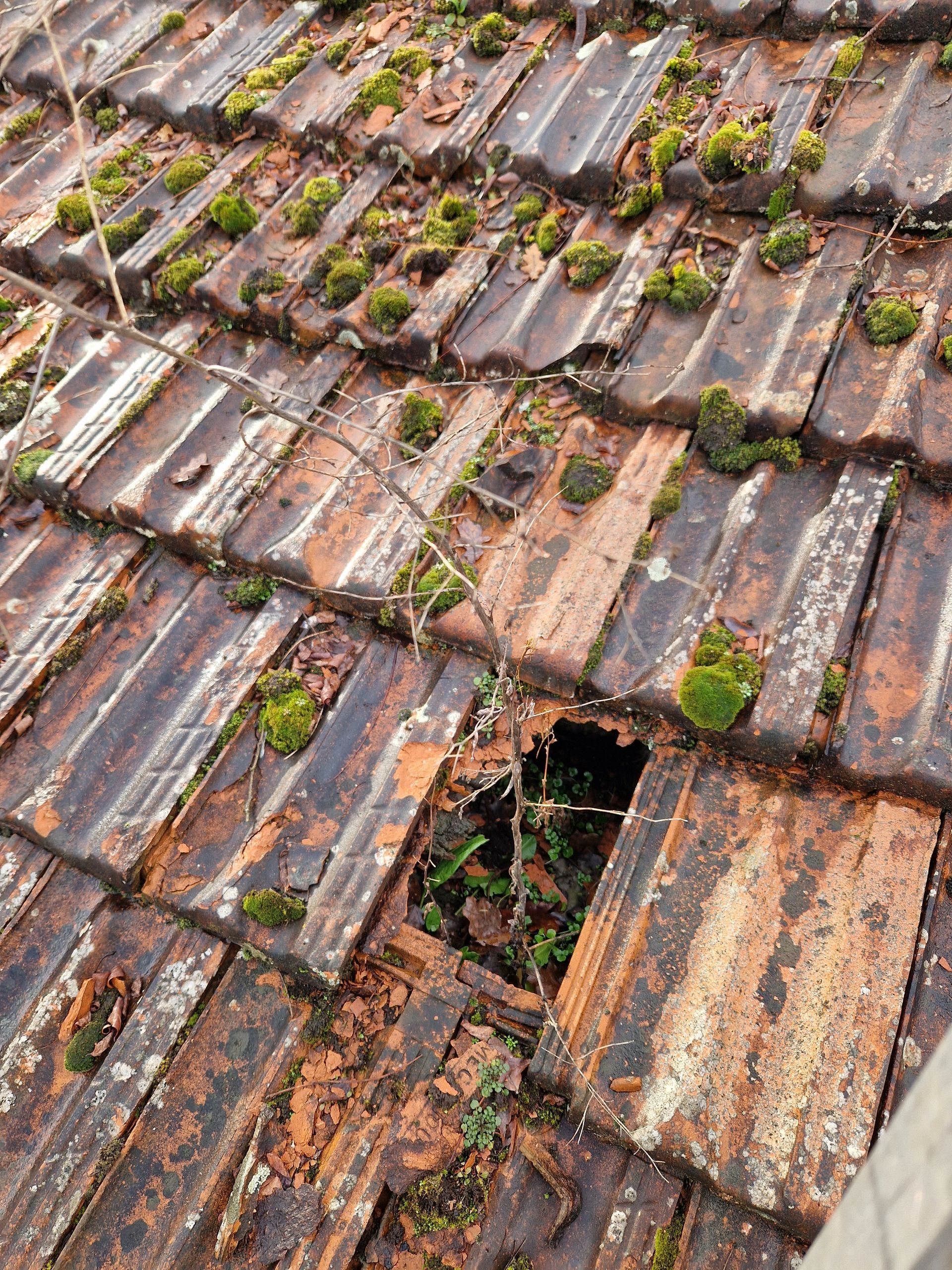 Toit de tuiles rouges avec une cheminée blanche sur un ciel bleu limpide. Une moitié du toit paraît propre, l'autre est sale.