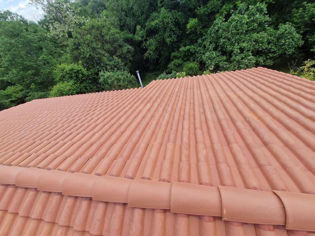 Toit de tuiles en terre cuite rouge sur fond de forêt verdoyante.