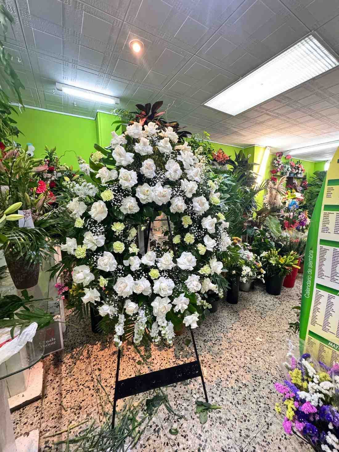 Una gran corona fúnebre de rosas blancas sobre un soporte metálico dentro de una floristería con paredes de color verde lima.