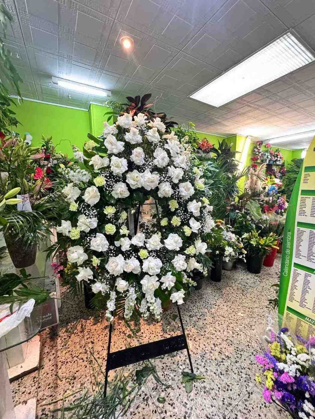 Una gran corona circular de rosas blancas sobre un soporte de metal dentro de una floristería, con otras plantas al fondo.