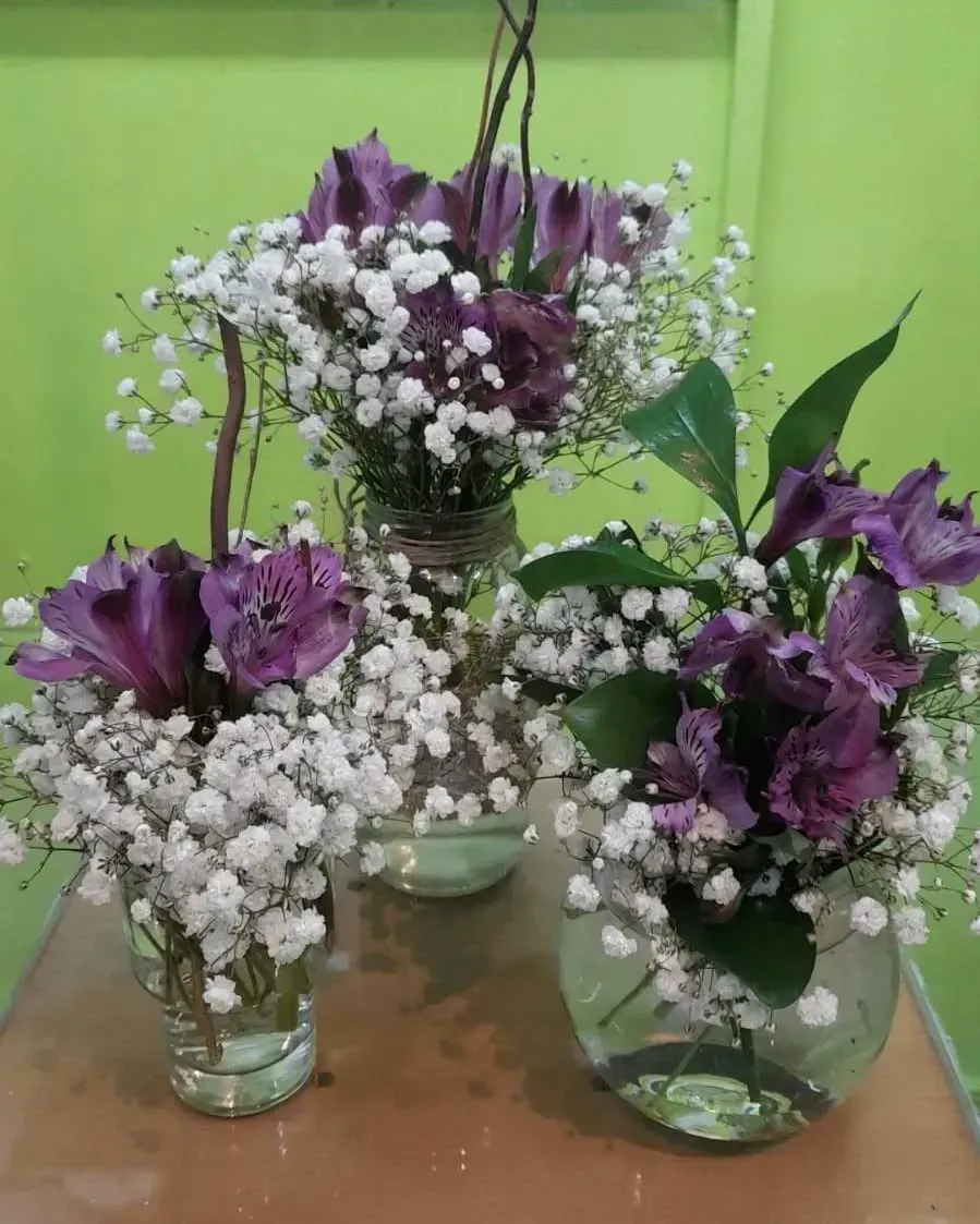 Tres jarrones de cristal contienen flores de alstroemeria moradas y paniculata blanca sobre un fondo verde lima liso.