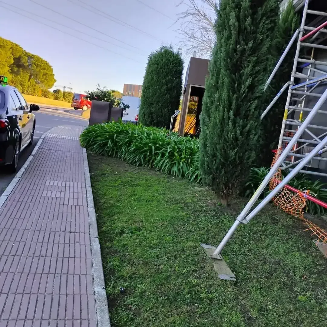 Una acera discurre junto a un arcén cubierto de césped con pequeños arbustos y altas coníferas