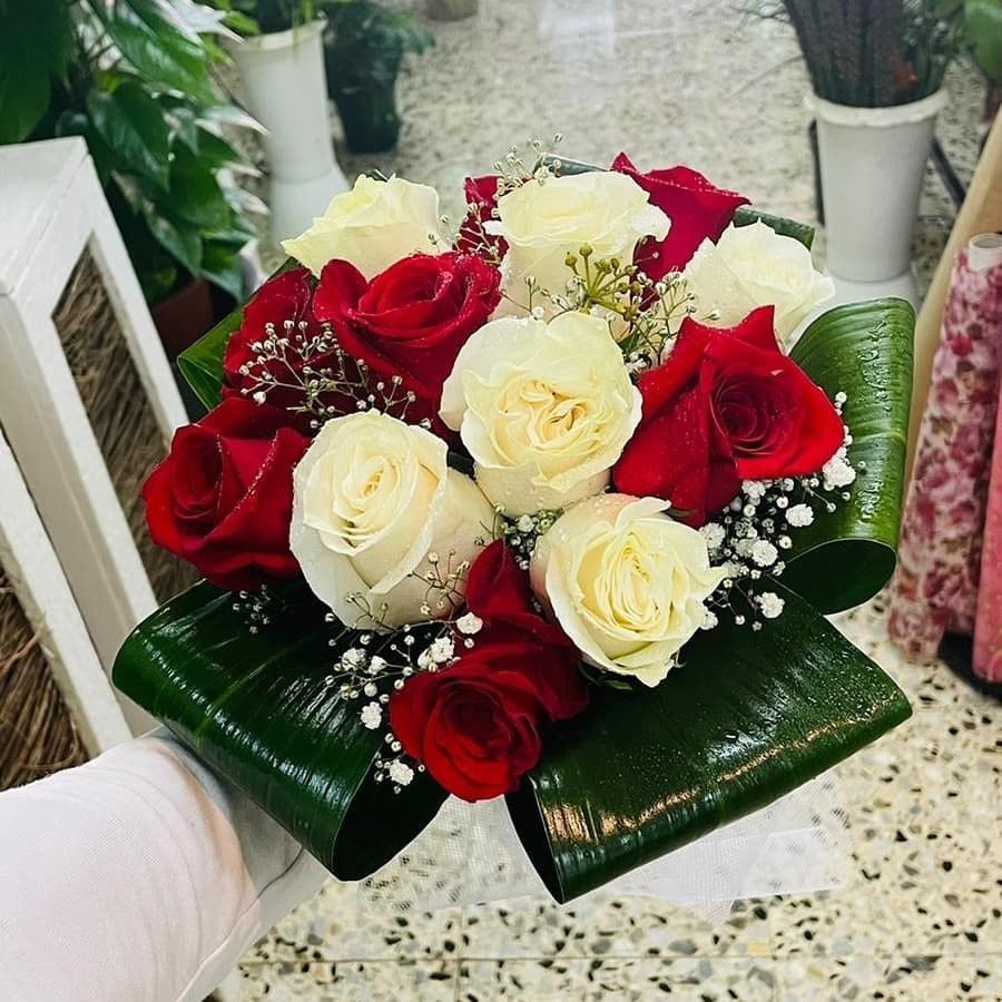 Un ramo de rosas rojas y blancas adornado con paniculata, envuelto en hojas anchas de color verde