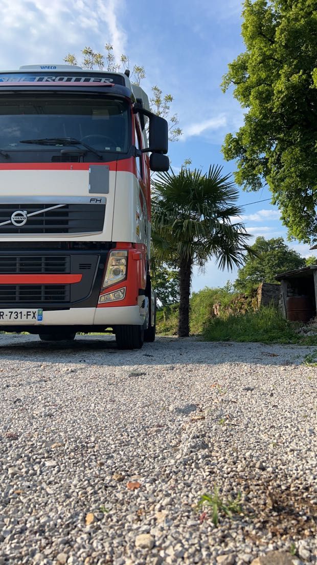 Camion à moitié devant palmier