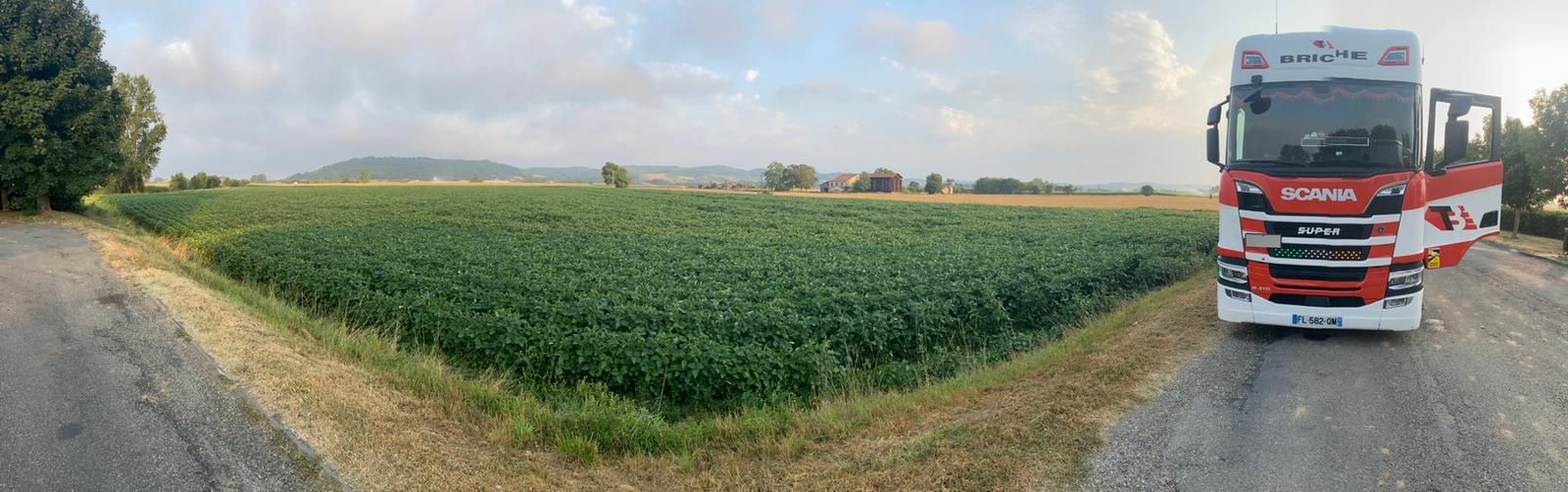 Camion devant champs