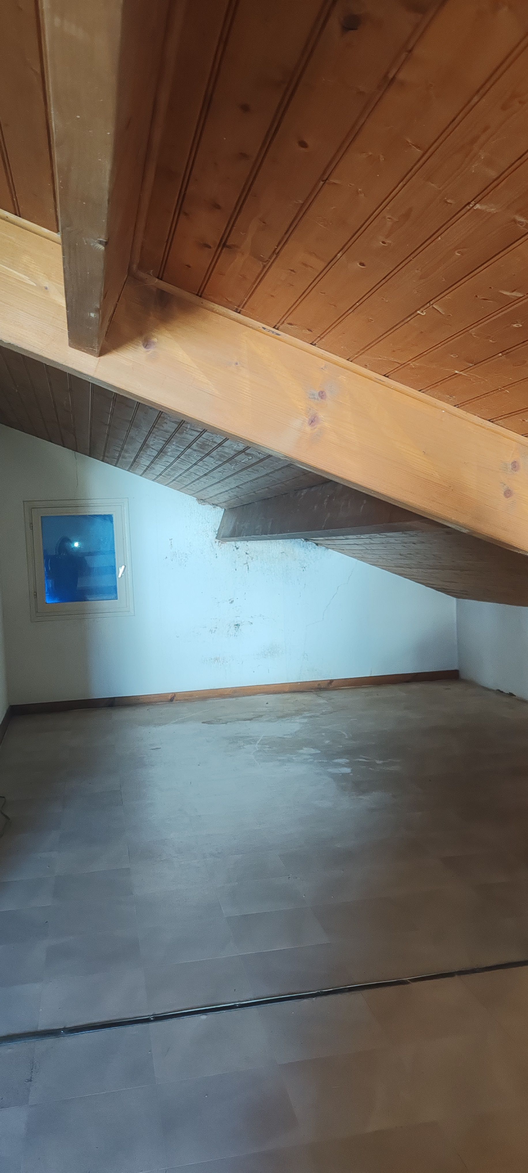 Photo d'une étagère en fer vide dans garage