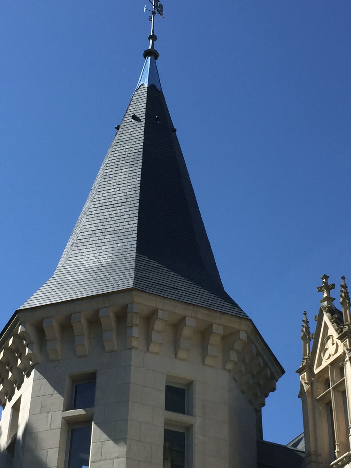 Toit de la tour du château Chènevière