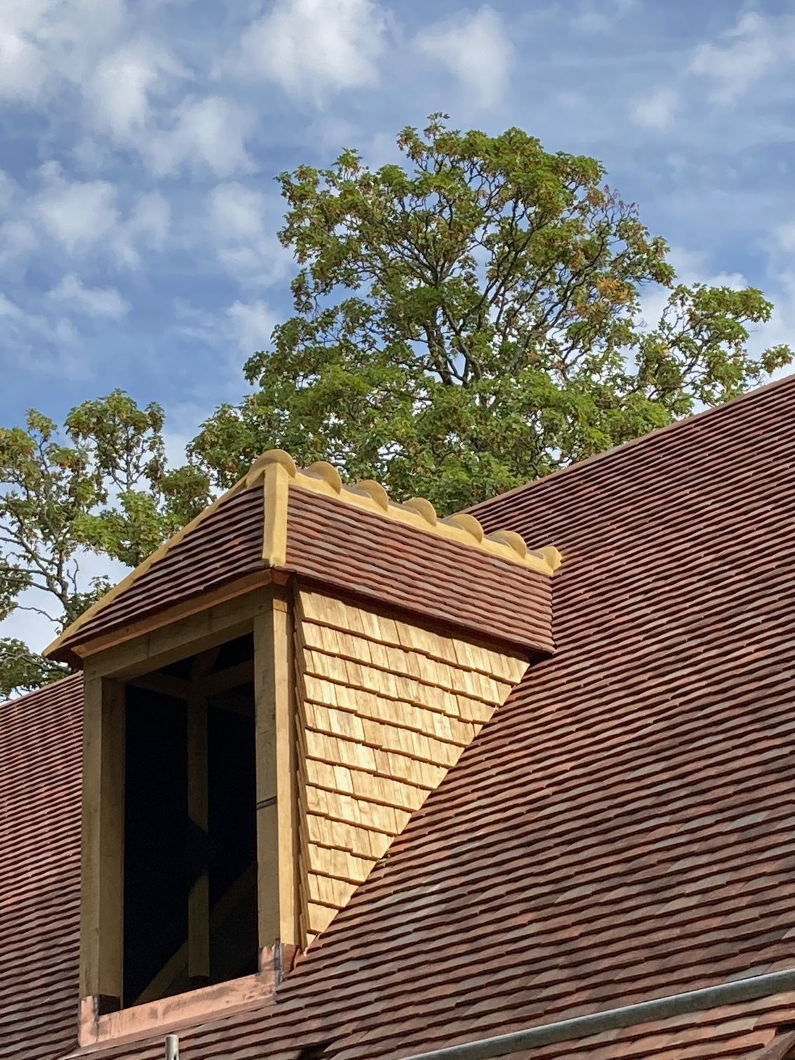 Toiture rénovée en ardoises marron