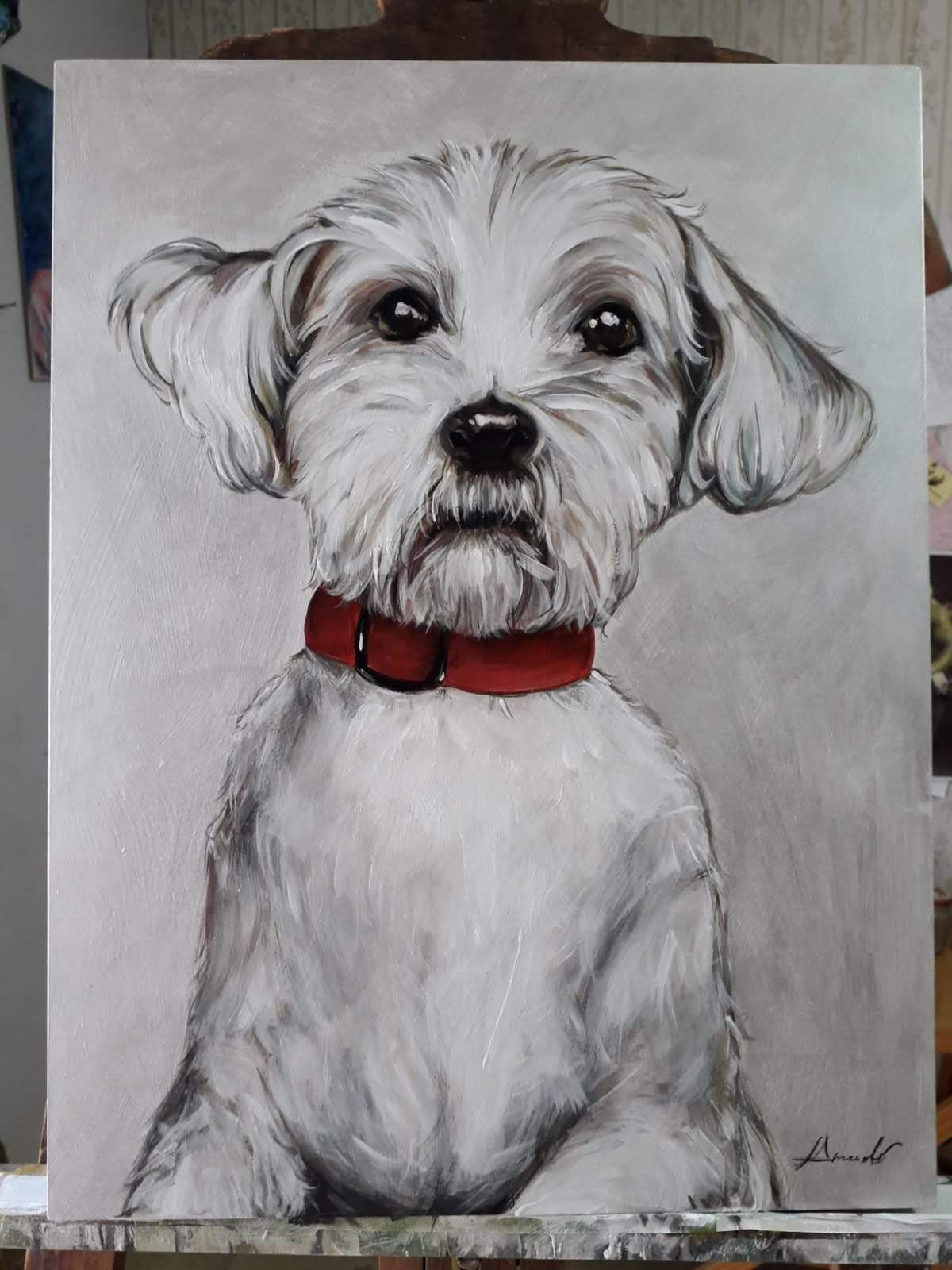 Perro blanco con orejas caídas y collar rojo, retrato sobre fondo gris.