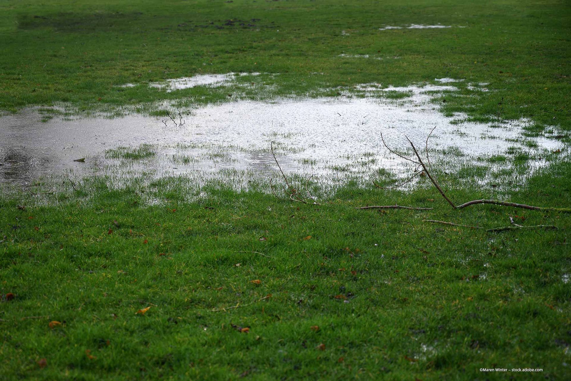 Frauen beim Lochgraben für neuen Baum